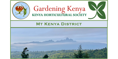KHS Mt Kenya District logo